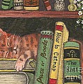 Dreaming In The Library